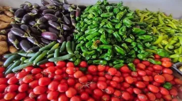 تحديث أسعار الخضروات في سوق العبور اليوم: الأسعار بالجملة والقطاعي وتأثيرها على المستهلكين